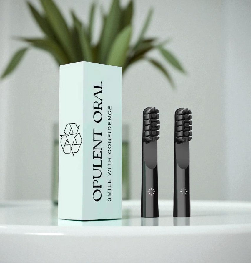 Opulent Oral Aluminium Electric Toothbrush with Travel Case